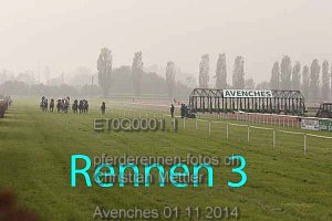 Details Kategorie: Avenches 01.11.2014